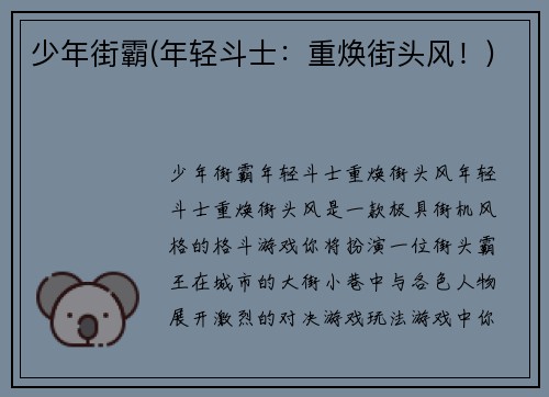 少年街霸(年轻斗士：重焕街头风！)